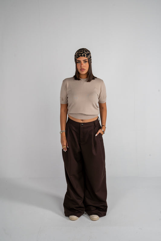 Brown Pleated Pants