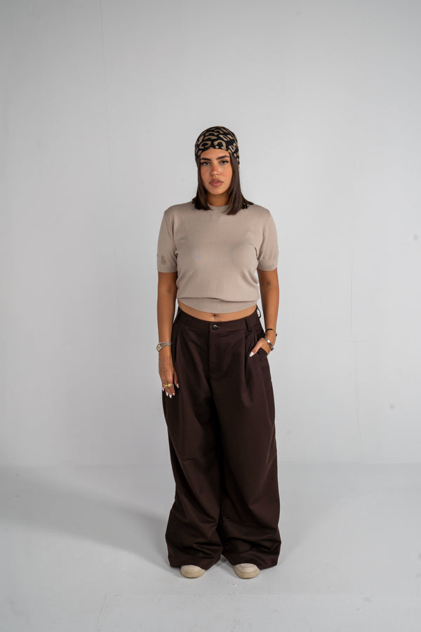 Brown Pleated Pants