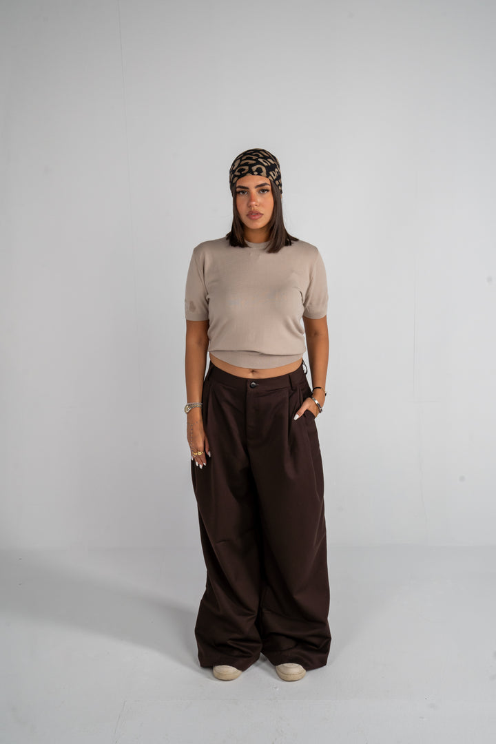 Brown Pleated Pants