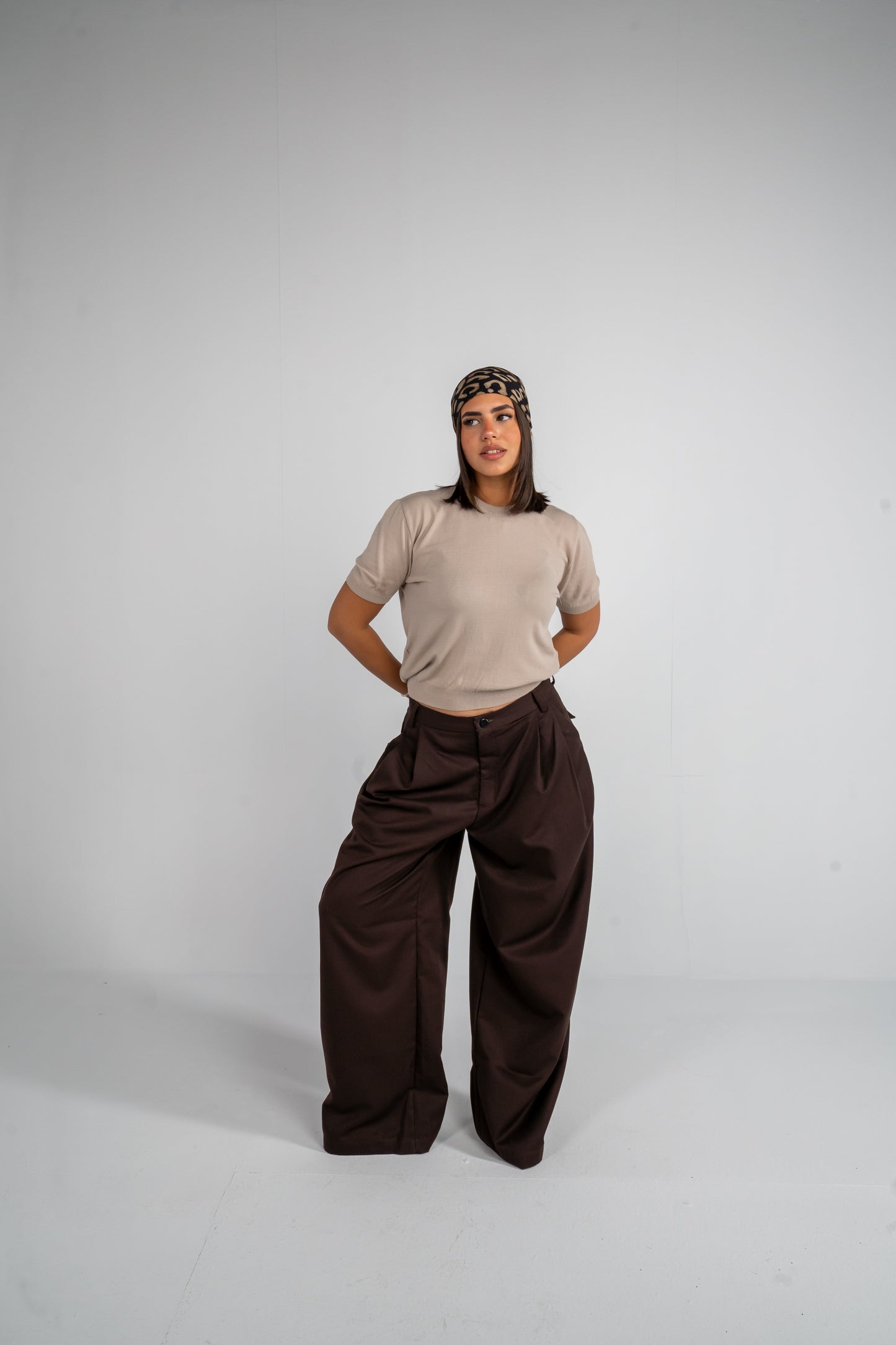 Brown Pleated Pants