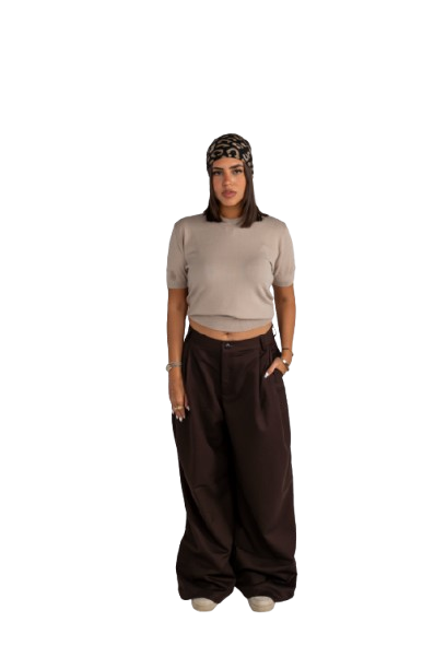 Brown Pleated Pants